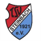 TSV Steinbach Haiger