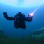 BlueDiver