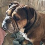Norbert66